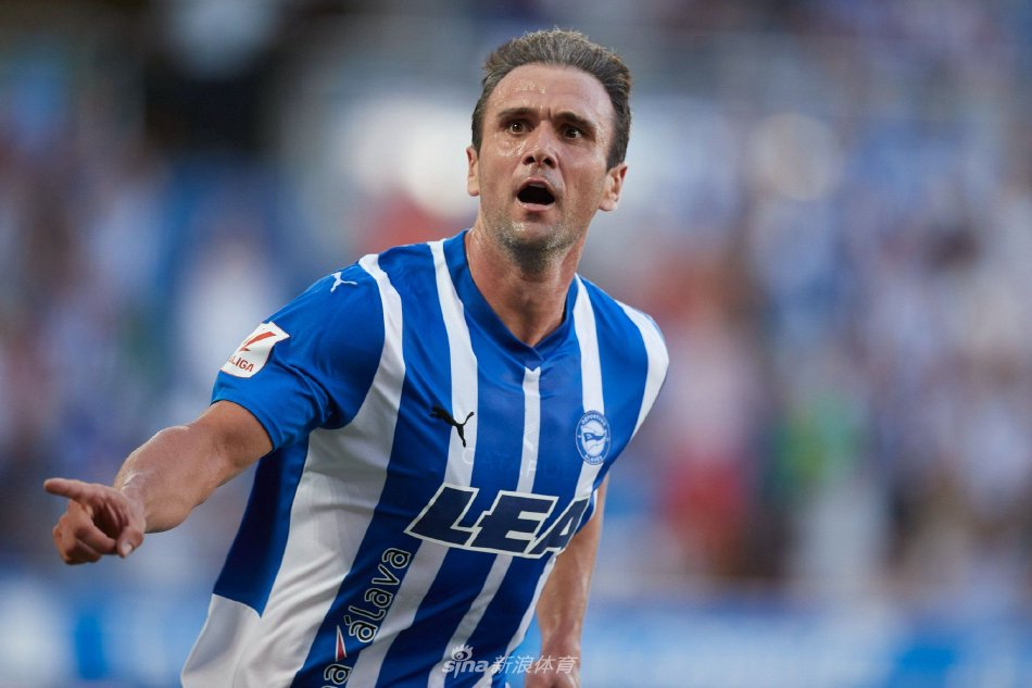 他职业生涯 他职业生涯